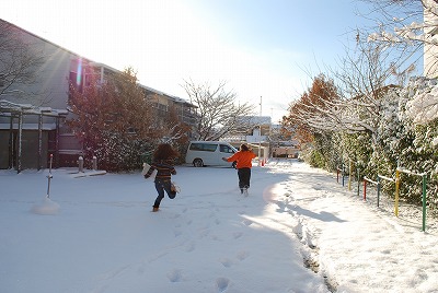 snow 2011.1.17 005.jpg